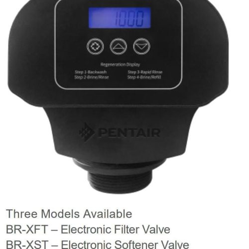 PENTAIR BR-X Series Control Valve – PureGen Malaysia