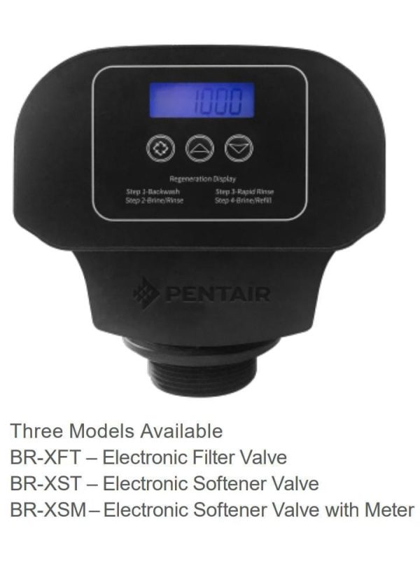 PENTAIR BR-X Series Control Valve – PureGen Malaysia